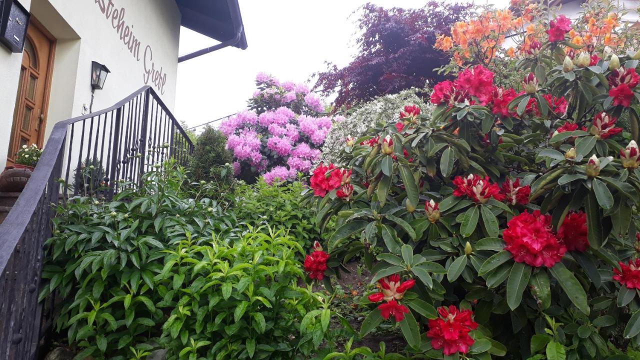 Gretl - Residence Parcines Bagian luar foto